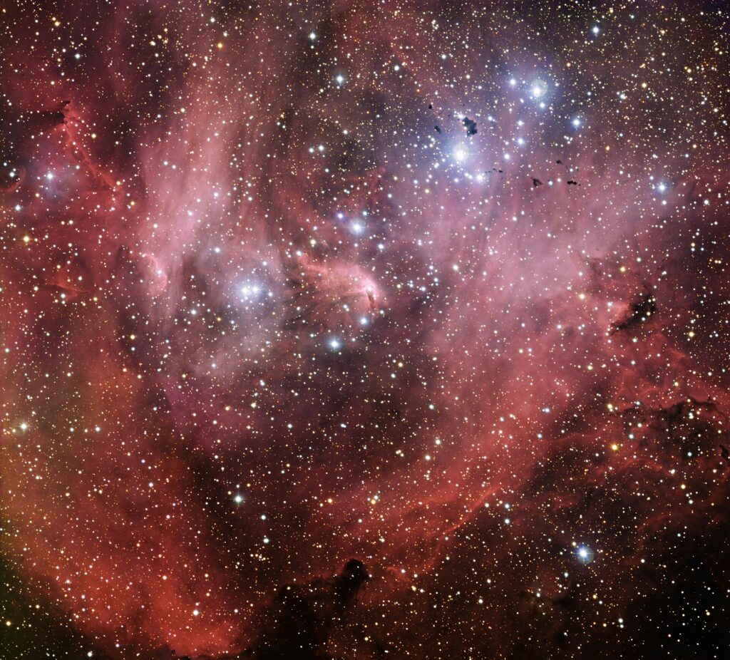 image from the Wide Field Imager on the MPG/ESO 2.2-metre telescope shows the Running Chicken Nebula, a cloud of gas and newborn stars that lies around 6500 light-years away from us in the constellation of Centaurus (The Centaur). Officially called IC 2944, or the Lambda Centauri Nebula, its strange nickname comes from the bird-like shape of its brightest region. The star Lambda Centauri itself lies just outside the field of view.